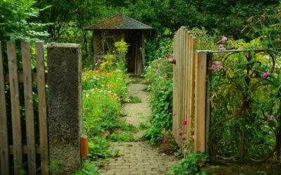 フラップ扉の箱