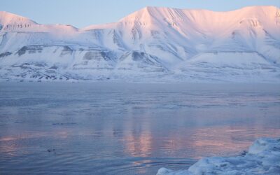 スライドボックス