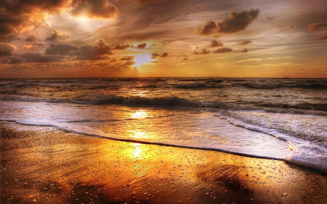 2025年末課題（途中経過）