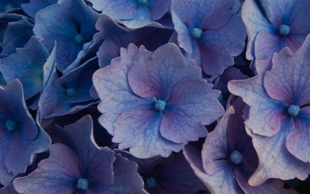 PS-VITA専用スタンド試作