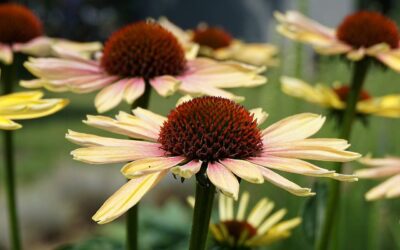 思いついたので取りあえず忘れないように